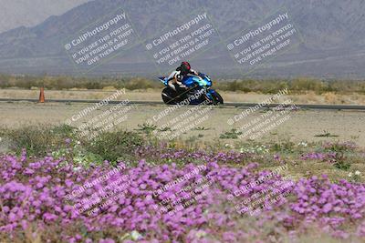 media/Feb-04-2023-SoCal Trackdays (Sat) [[8a776bf2c3]]/Turn 15 Inside Blooming (1050am)/